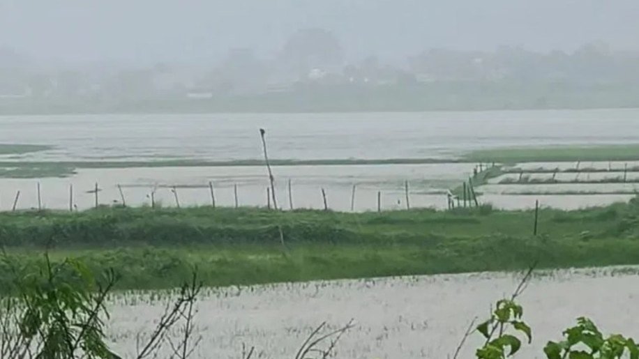 लगातार हो रही बारिश से शहडोल में कई मार्ग बंद, खेतों में भरा पानी